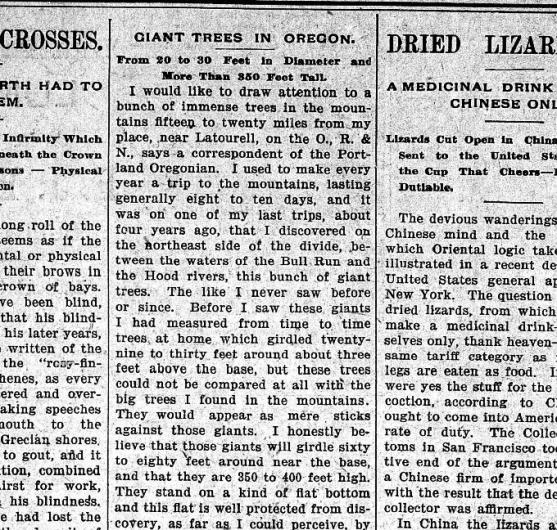 The Cook County herald. (Grand Marais, Minn.) December 08, 1900, Image 1