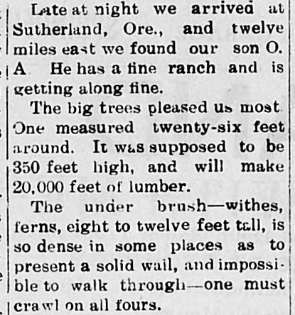 The Springfield herald. (Springfield, Baca County, Colo.) 1887-1919, October 22, 1915, Image 1